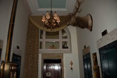 12 Elk Head Above The Elevators At Chateau Lake Louise.jpg